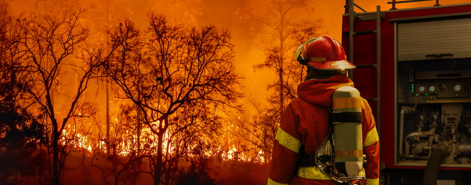 Firefighter fighting wildfire